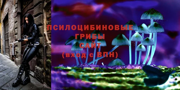a pvp Баксан