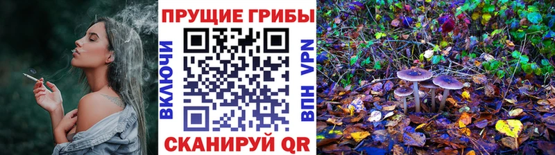 Псилоцибиновые грибы MAGIC MUSHROOMS  как найти закладки  Бронницы 